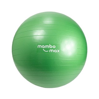 Ballon AB Gym Ball Diamètre Ø65 cm