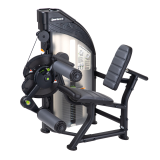 Leg Extension / Leg Curl DF300 SportsArt